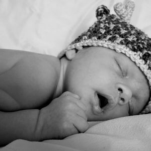 Meet your Posher, Shelby